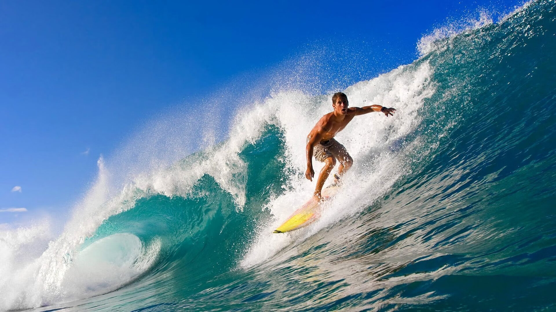 AYX SPORTS-世界杯青春风暴：年轻球员崭露头角，足球青年世界杯